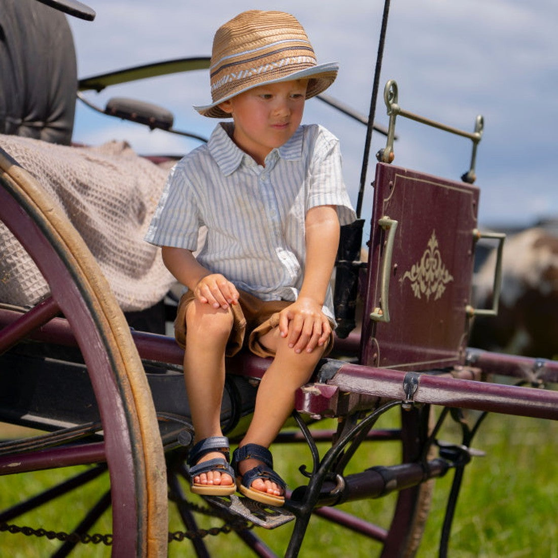 A young boy in a striped shirt and straw hat sits on a dark red horse-drawn carriage outdoors, wearing Bobux IW Iwalk Driftwood Sandal Navy Open Toe 633601A. Grass and blue sky are visible in the background on a sunny day., 9420062048023, 9420062048030, 9