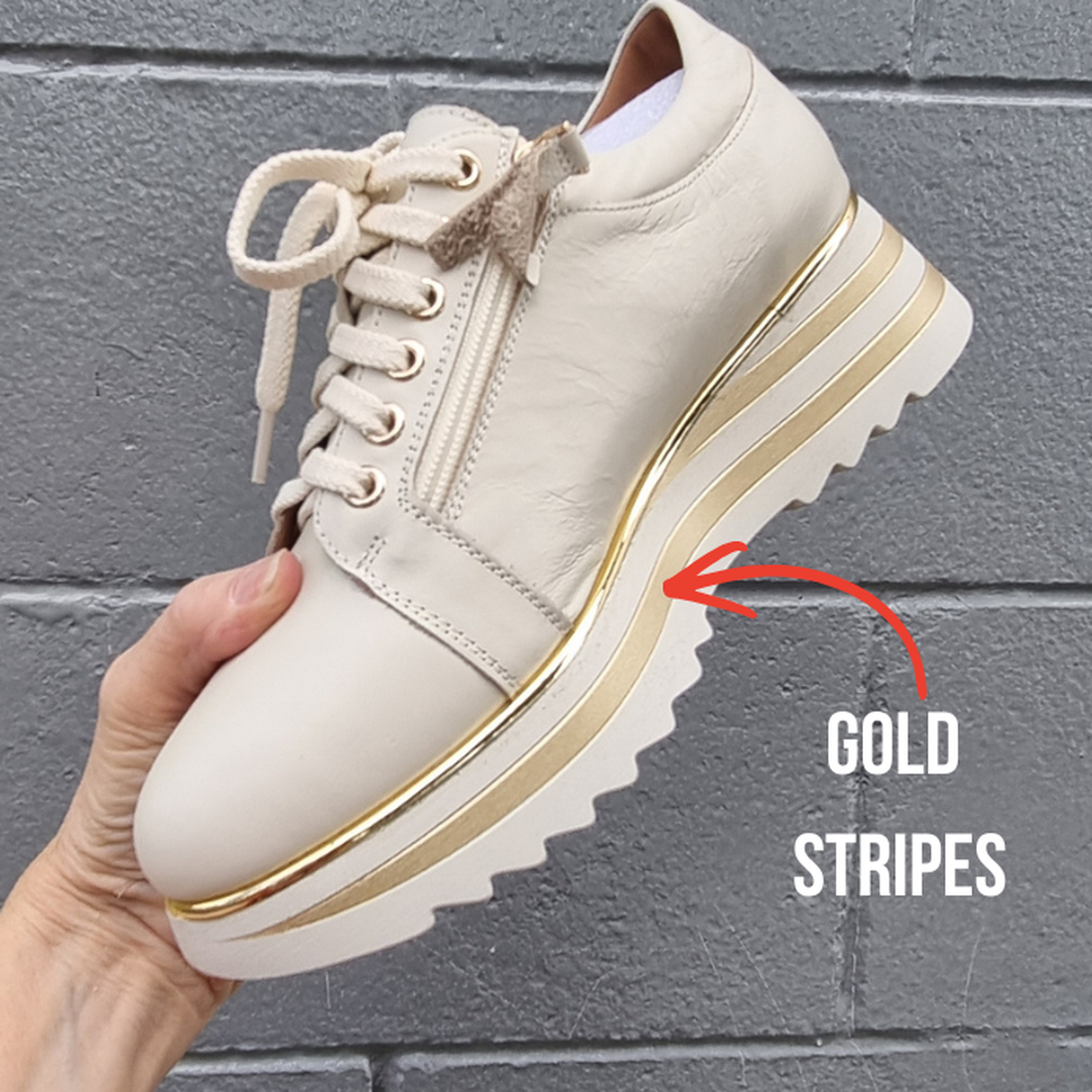 A hand holds an Alfie & Evie Hosting Womens Leather Shoe Platform Cream/Gold, showing cream leather with gold-striped platform, next to “GOLD STRIPES” and a red arrow. The background features a gray brick wall., 38135, 9353738178833, 9353738178840, 935373